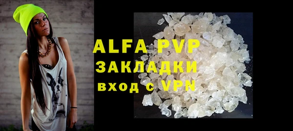 ECSTASY Богданович