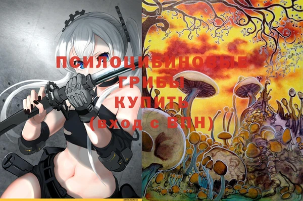 ПСИЛОЦИБИНОВЫЕ ГРИБЫ Богородск