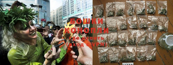 ECSTASY Богданович