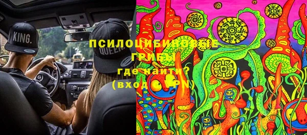 прущие крисы Вяземский
