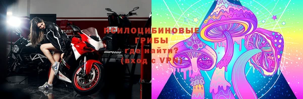 ECSTASY Богданович
