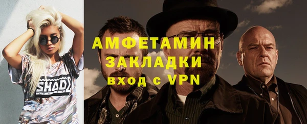 ECSTASY Богданович
