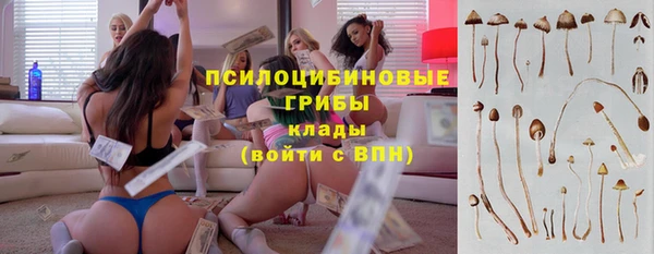 ПСИЛОЦИБИНОВЫЕ ГРИБЫ Богородск