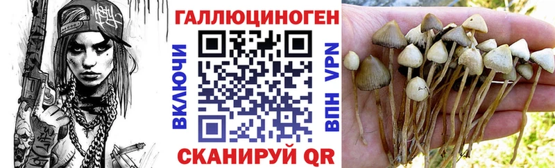 Галлюциногенные грибы мухоморы  где можно купить   Михайловск 