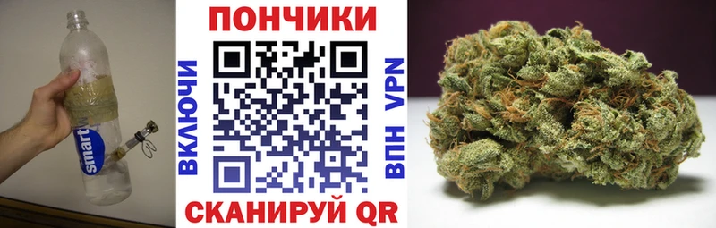 Каннабис гибрид  Михайловск 